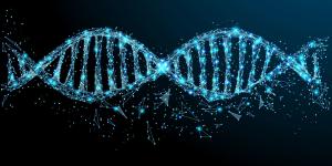 Rendered image of a dna helix