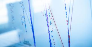 dataminor.jpg dataminor.jpg